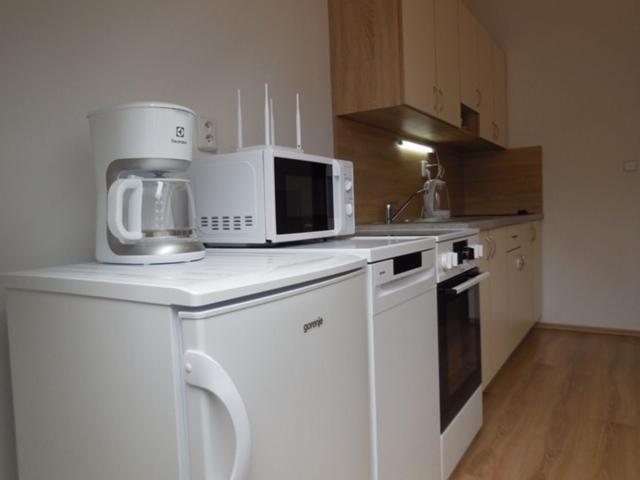 Apartman Kamenice Kamenice nad Lipou Eksteriør bilde